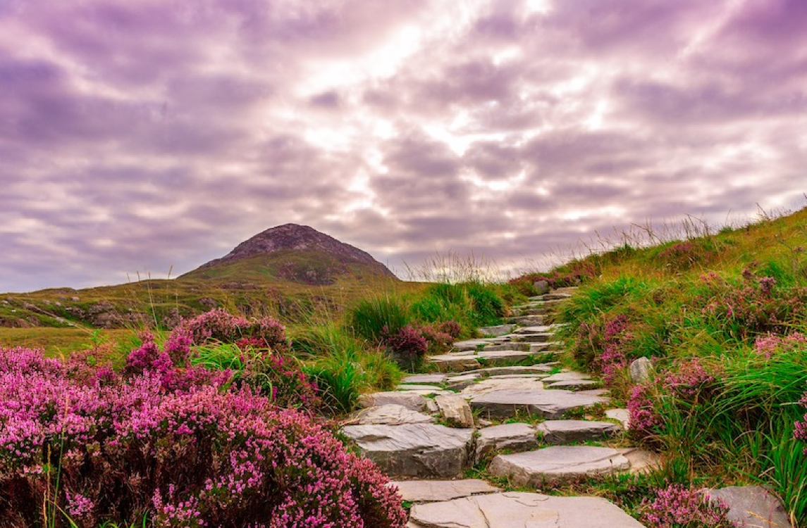 beauty of ireland